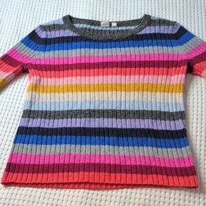 GAP Multicolor Striped Crew Neck Sweater Wool Blend